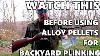 Alloy Pellets For Backyard Plinking Watch This First