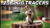 Are Slugs Better For Squirrels