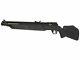 Benjamin 397s Black Synthetic Stock. 177 Caliber Bb/pellet Bolt Action Air Rifle