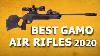 Best Gamo Air Rifle 2020 5 Best Pellet Rifle For Hunting