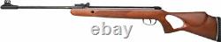 Bl Diana Air Rifle 250.22 755 Fps Hard Wood With Stock Milled Rail