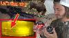 Can A Pellet Gun Kill A Hog Let S Find Out