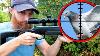 Cheap Pellet Gun Pigeon Hunt Catch Clean Cook 9 Days In The North