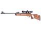 Diana Two-fifty 0.22 Caliber Breakbarrel Pellet Air Rifle Beech