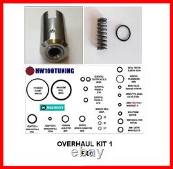 FULL Anti Tamper Overhaul Kits FAC or Standard WEIHRAUCH HW100 /hw101 Beeman