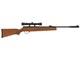 Hatsan Mod 95 Vortex 25 Caliber Pellet Air Rifle With Scope
