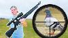 Hunting With World S Cheapest Pcp Air Rifle
