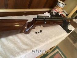 INDUSTRY BRAND AR2708.177 Caliber CO2 Air Rifle Tested & Fired 5/19/24