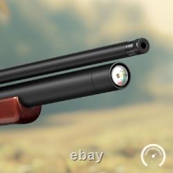 PINTY PCP Pellet Gun Air Rifle. 22 Cal 800FPS Hunting Wood Stock Gun
