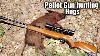 Pellet Gun Hog Hunting With Ruger Impact 22 Cal