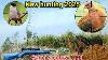 Pellet Gun Hunting Dove Hunting Air Rifle Gamo Shadow 1000 Bird Hunting 2025