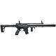 Sig Sauer Mcx Asp 30-round Pellet Air Rifle With Front & Rear Sights In Black
