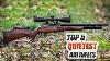 Top 5 Quietest Accurate Air Rifles Madman Review