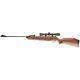 Umarex Ruger Air Hawk 1000 Fps. 177 Caliber Break Barrel Air Rifle With Scope