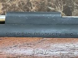 Vintage Backyard Bully Sheridan Air Rifle C-9 Series Hits Hard Squirrels Beware