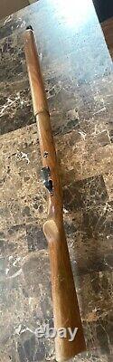 Vintage Backyard Bully Sheridan Air Rifle C-9 Series Hits Hard Squirrels Beware