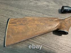 WORKING! Ted Williams model 799 Air Pellet BB Gun Rifle SCOPE Vintage DAISEY