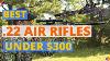 6 Best 22 Air Rifle 2021 Best Air Rifles Moins De 300