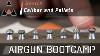Airgun Calibres Et Types Airgun Bootcamp