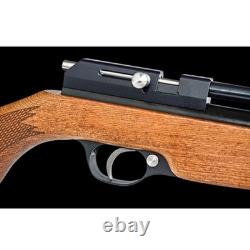 Carabine à air PCP multi-coups Snowpeak PR900S G2 calibre .22