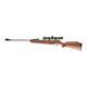 Carabine à Air Umarex Ruger Air Hawk Combo 177 Plomb Crosse En Bois Foncé 2244001