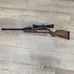 Chasseur de Frelons de Jeu. Carabine à plomb à canon basculant de 10 coups + lunette, en décembre.