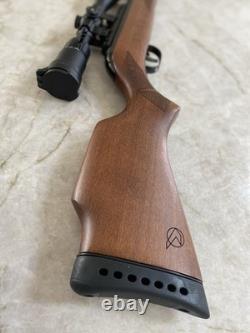 Chasseur de Frelons de Jeu. Carabine à plomb à canon basculant de 10 coups + lunette, en décembre.