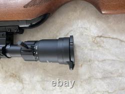 Chasseur de Frelons de Jeu. Carabine à plomb à canon basculant de 10 coups + lunette, en décembre.