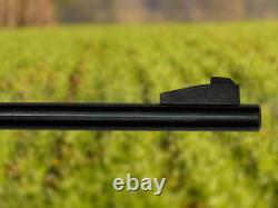 Crosman 160 Pellgun. Carabine à plomb CO2 à verrou de calibre .22