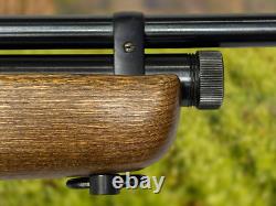 Crosman 160 Pellgun. Carabine à plomb CO2 à verrou de calibre .22