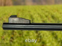 Crosman 160 Pellgun. Carabine à plomb CO2 à verrou de calibre .22