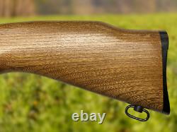 Crosman 160 Pellgun. Carabine à plomb CO2 à verrou de calibre .22