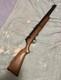 Crosman Modèle 1400, Calibre .22. Carabine à Plomb à Pompe, Fonctionne Bien