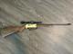 En Fonctionnement ! Fusil &agrave; Plombs Bb Mod&egrave;le 799 Ted Williams Avec Lunette, Vintage Daisey