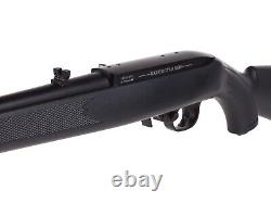 Ensemble carabine à air comprimé CO2 Ruger 10/22, calibre 0.177, 490 FPS, 10 coups RUGER-2244233