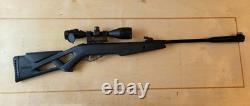 Fusil à air comprimé Gamo Big Cat 1250.177 Cal avec lunette et lunette 3-9X50