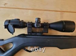 Fusil à air comprimé Gamo Big Cat 1250.177 Cal avec lunette et lunette 3-9X50