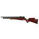 Fusil à Air Comprimé Pinty 800 Fps Pcp à Plombs. Fusil à Air De Calibre .22 Avec 9 Plombs.