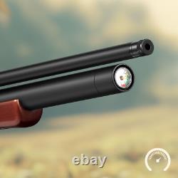 Fusil à air comprimé PINTY 800 FPS PCP à plombs. Fusil à air de calibre .22 avec 9 plombs.