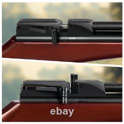 Fusil à air comprimé PINTY 800 FPS PCP à plombs. Fusil à air de calibre .22 avec 9 plombs.