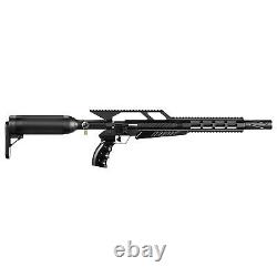 Fusil à air comprimé PINTY PCP. Fusil à plomb de calibre .22, pour adultes 850 fps