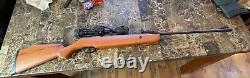 Fusil à plomb Crosman Storm XT 177 Cal 1200FPS avec lunette Gamo 22 tire FORT.