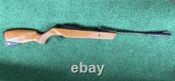 Fusil à plomb Ruger Impact Max Elite .22 Cal 1050 FPS