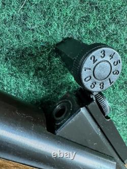 Fusil à plomb Ruger Impact Max Elite .22 Cal 1050 FPS