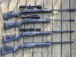 Fusil à plombs Varmint avec lunette pour la chasse - Carabine à billes .177 Gamo à canon basculant 611