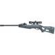 Gamo Swarm Hornet. Carabine à Air Multi-coups De Calibre .22 (rénovée)