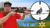 J'ai Acheté Le Fusil à Air Le Plus Cher De Walmart