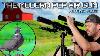 Le Vlog De Chasse à La Carabine à Air Pcp Moderne Fx Leopard - Contrôle Des Ravageurs Avec Des Diabolo Fxairguns Fxleopard